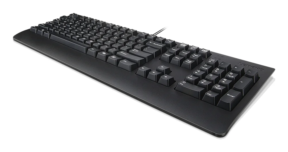 Lenovo 4Y41R64611 Tastatur Heimbüro USB Finnisch, Schwedisch Schwarz