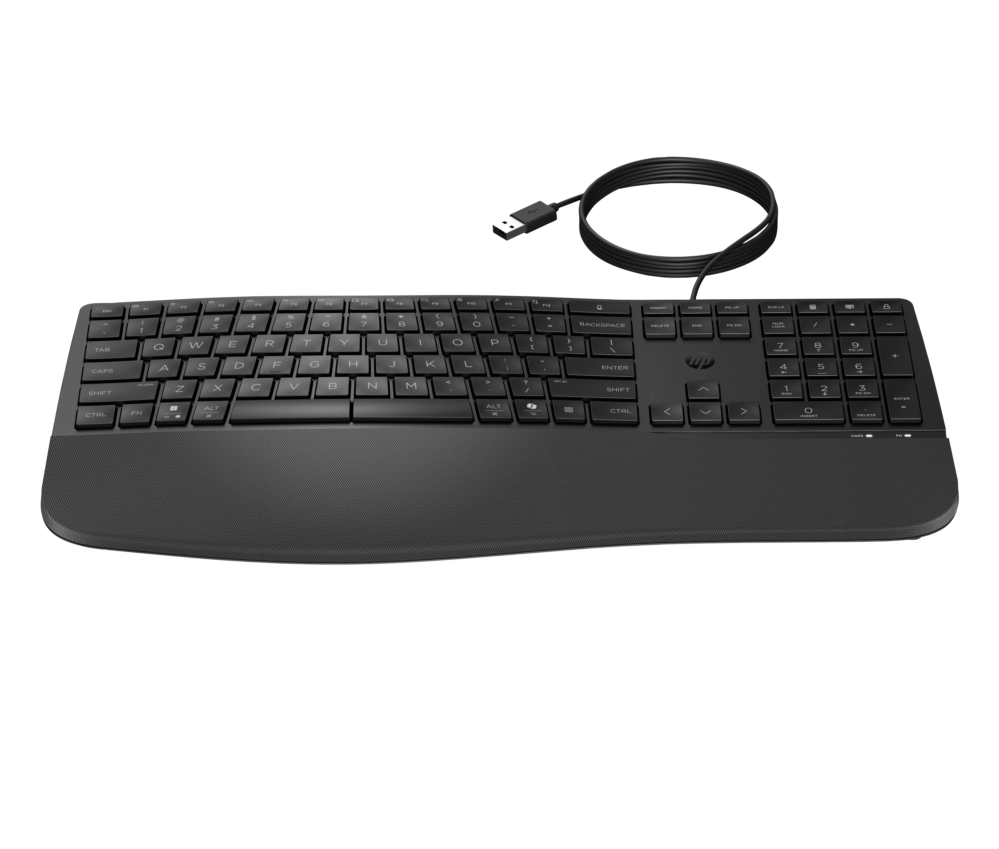 HP 485 CFT WD KBD Tastatur Büro USB Schwarz