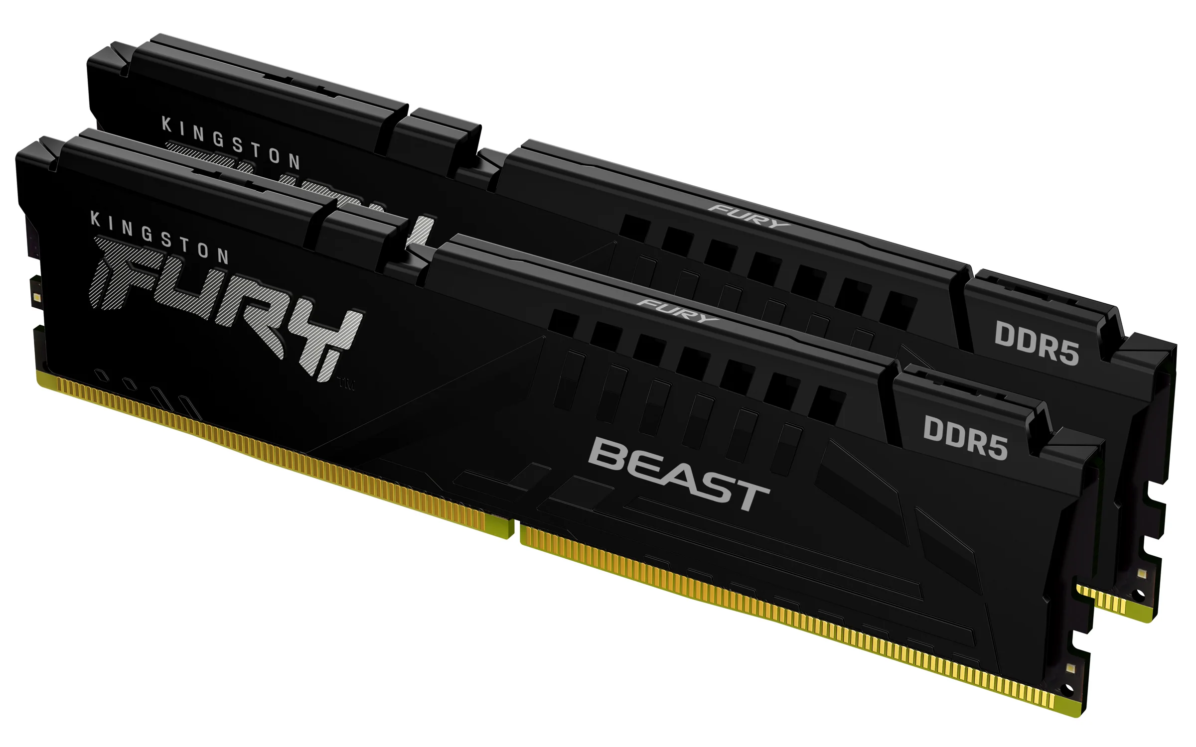 Kingston Technology FURY Beast 16GB 6000MT/s DDR5 CL36 DIMM (2er-Kit) Black EXPO