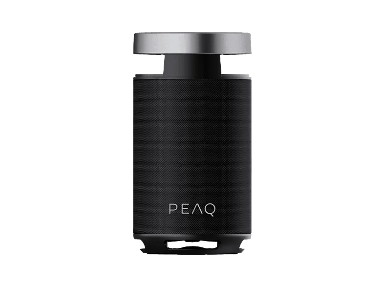 PEAQ PPS 170 Partyspeaker, Schwarz
