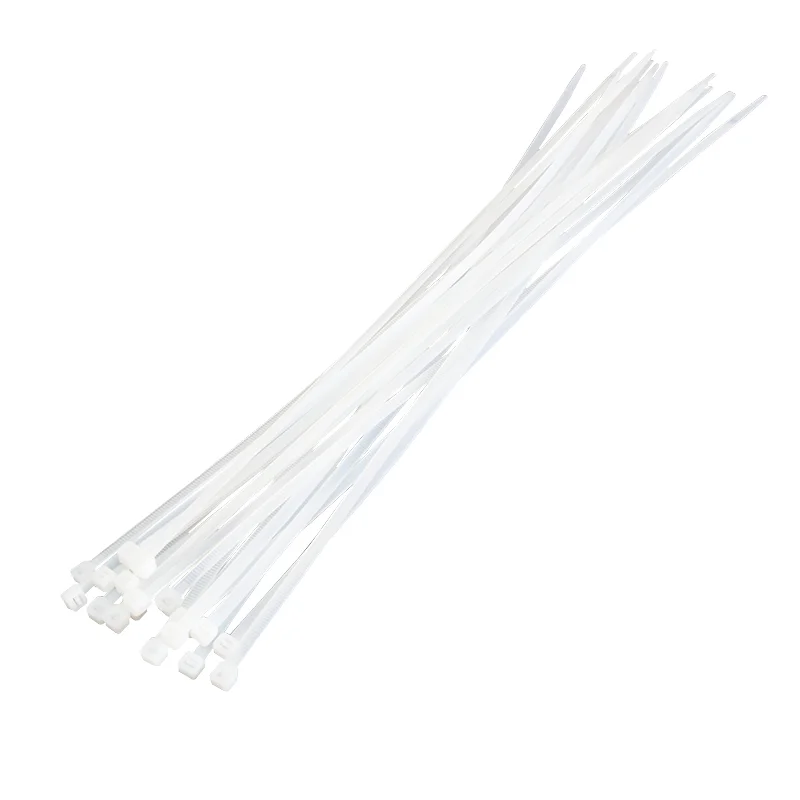 LogiLink KAB0040 Kabelbinder Nylon Transparent 100 Stück(e)