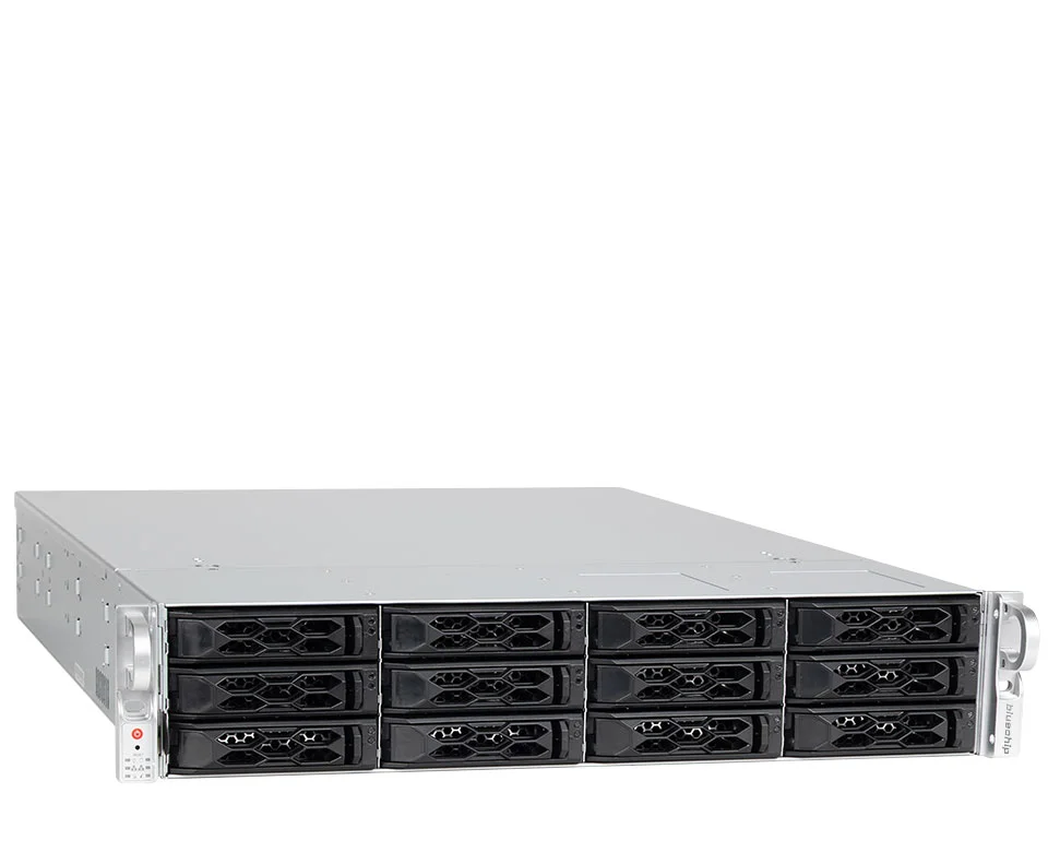 bluechip SERVERline R42318s 2HE Rack, Intel® Xeon® 6505P Prozessor / bis zu 4.10 GHz, 16 GB DDR5, 2 x 960 GB 2,5" SSD, Avago 9540-8i, TPM-Modul, 2 x 10 Gb/s Ethernet