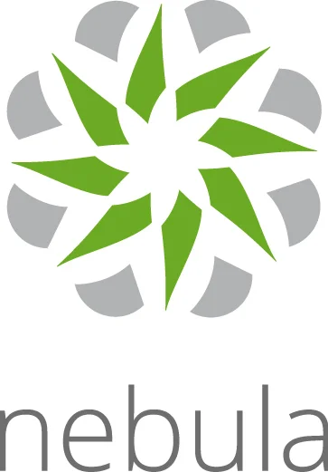 Zyxel LIC-NPRO-ZZ1Y00F Software-Lizenz/-Upgrade 1 Lizenz(en) 1 Jahr(e)