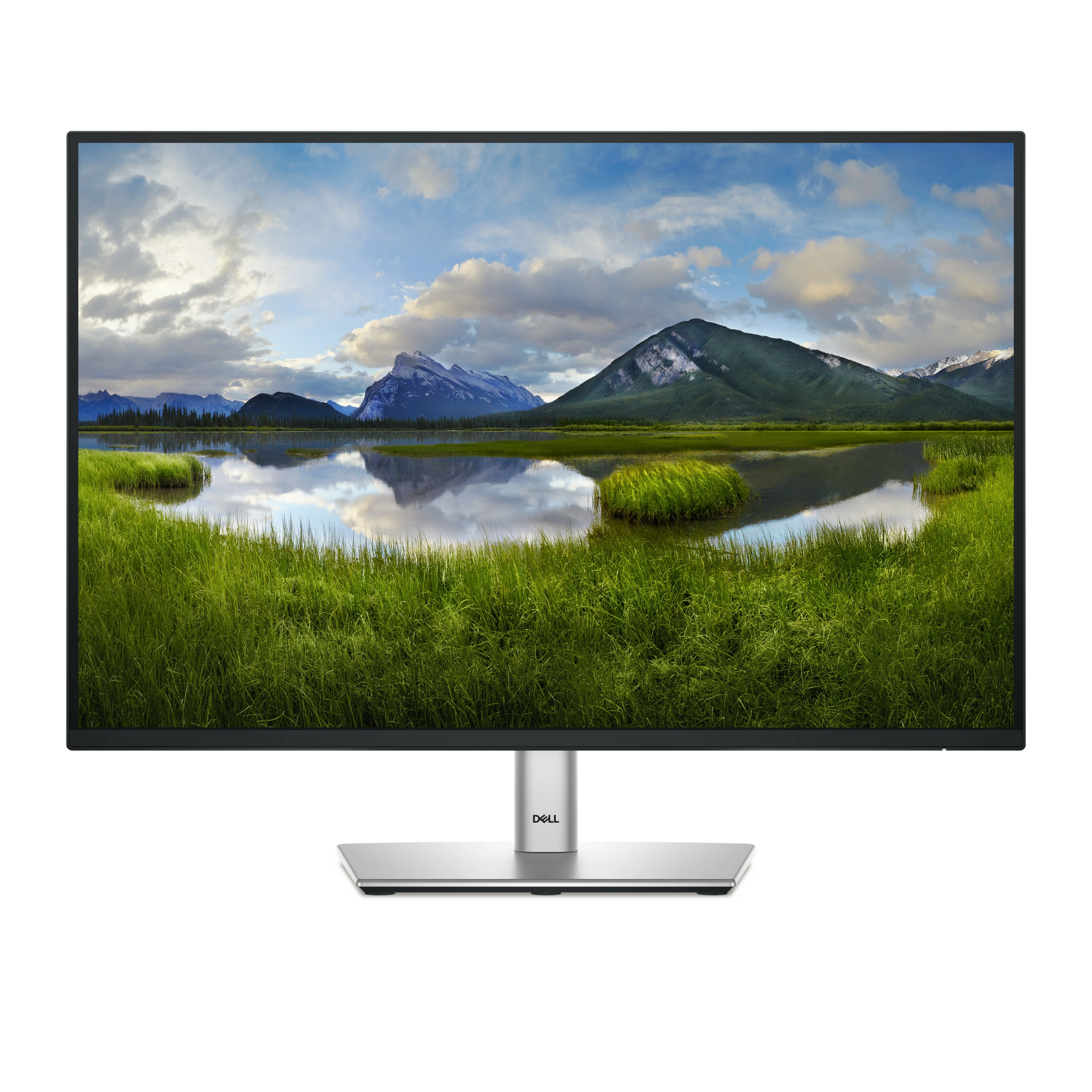 DELL Pro Plus P2425 Computerbildschirm 61,1 cm (24.1") 1920 x 1200 Pixel WUXGA LCD Schwarz