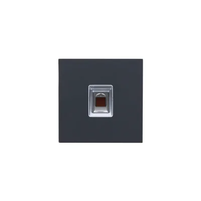 Dahua Technology VTO4202FB-MF Zugangskontrolle