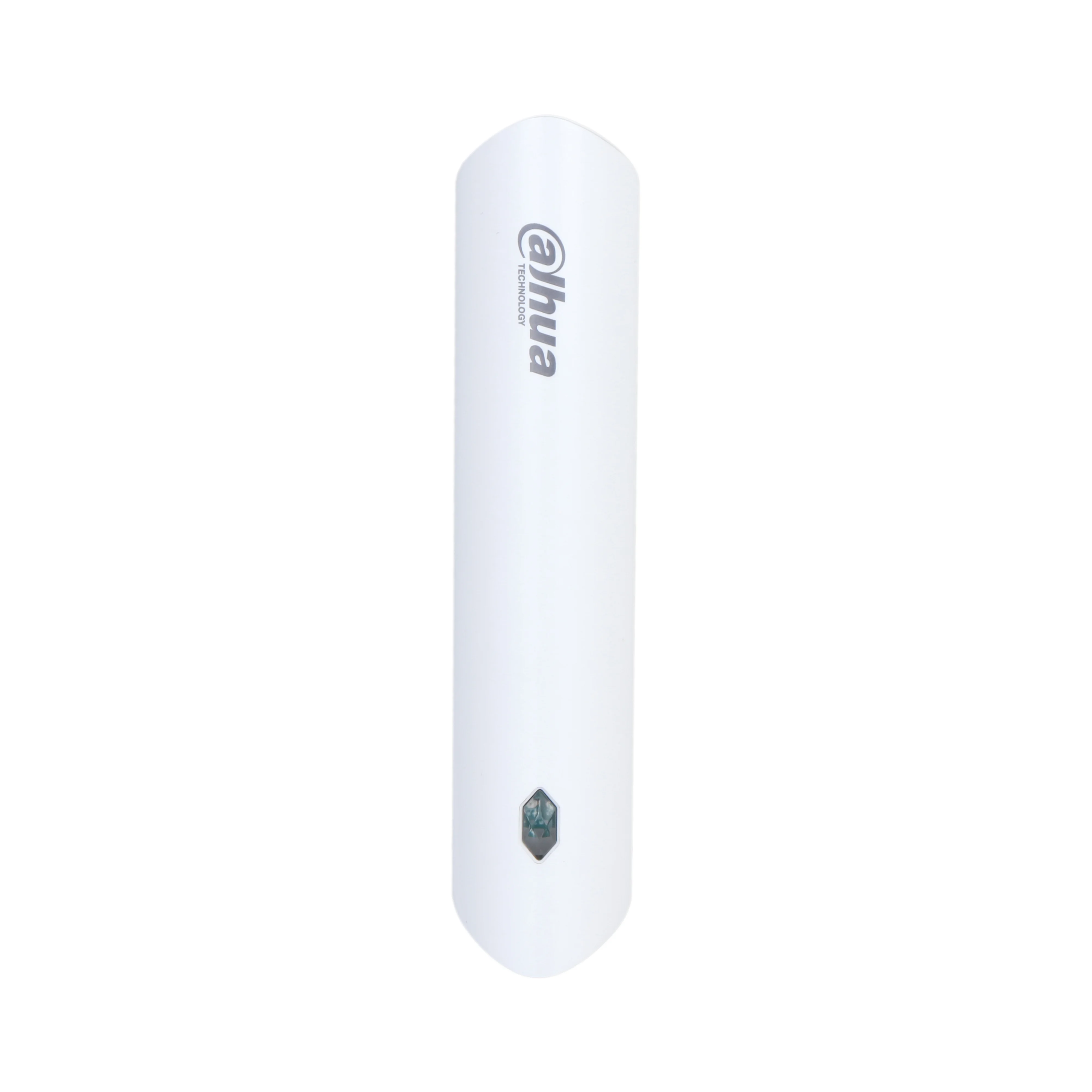 Dahua Technology ARM310-W2(868)