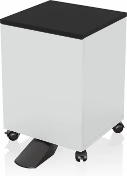 Epson 7112285 Druckerschrank Schwarz, Weiß